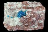 Vibrant Blue Cavansite Clusters on Stilbite - India #67802-2